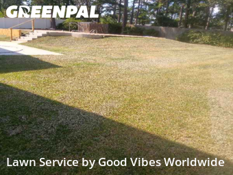 Yard Cutting in Albany, 31721, Grass Care by Good Vibes Worldwide, work completed in Nov , 2025