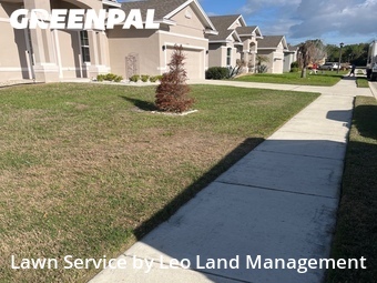 Lawn Care nearby Lakeland, FL, 