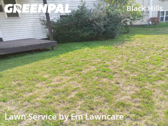 Yard Mowing nearby Grand Rapids, MI, 