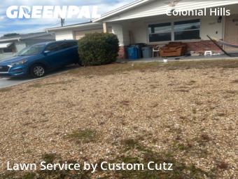 Lawn Mowing nearby Port Richey, FL, 