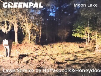 Grass Cut nearby New Port Richey, FL, 