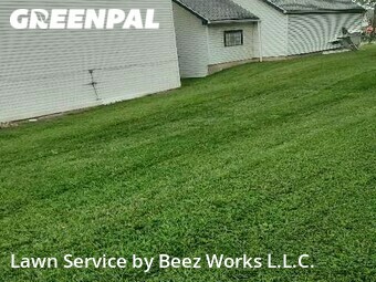 Grass Cut nearby Buffalo, NY, 