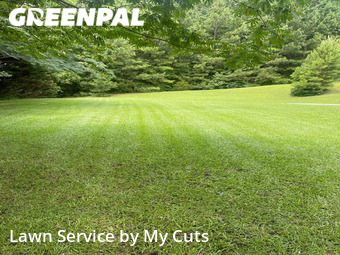 Lawn Cut nearby Decatur, GA, 