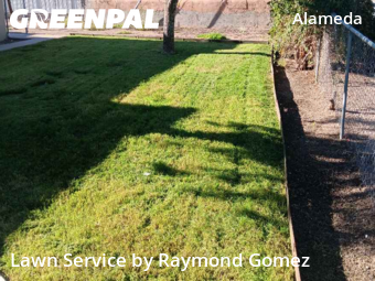 Backyard Landscaping In Albuquerque,87113,Landscaping Installation by Raymond Gomez, work completed in Nov , 2025