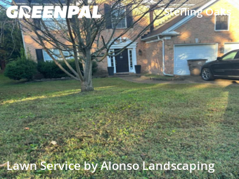 Lawn Maintenancein Brentwood,37027,Lawn Mow by Alonso Landscaping, work completed in Nov , 2025