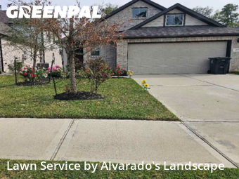 Lawn Mowin Conroe,77301,Lawn Maintenance by Alvarado's Landscape, work completed in Dec , 2025