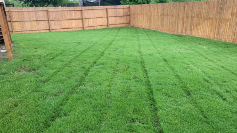 Lawn Mowing Contractor in San Antonio, TX, 78224