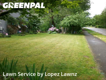 Grass Cutting nearby Puyallup, WA, 