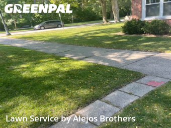 Lawn Mowing Servicein Evanston,60202,Grass Cutting by Alejos Brothers, work completed in Nov , 2025