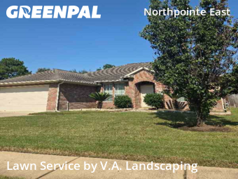 Yard Cuttingin Tomball,77375,Yard Mowing by V.A. Landscaping, work completed in Jan , 2026