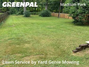 Grass Cutting nearby Charlotte, NC, 