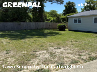 Grass Cutting nearby Fayetteville, NC, 