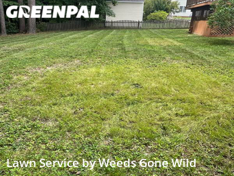 Grass Cut nearby Mechanicsville, VA, 