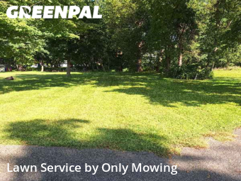 Yard Cutting nearby Delmar, NY, 