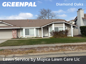 Work completed by local-lawn-care-services-in-Roseville-CA