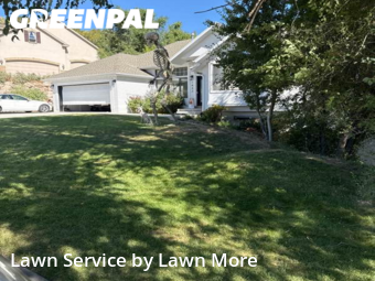 Lawn Upkeep in Layton, 84040, Backyard Mowing by Lawn More, work completed in Nov , 2025