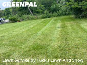 Grass Cutting in Northville, 48167, Lawn Upkeep by Tuck’s Lawn And Snow, work completed in Oct , 2025