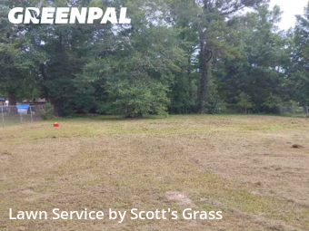 Grass Cut nearby Mount Vernon, AL, 
