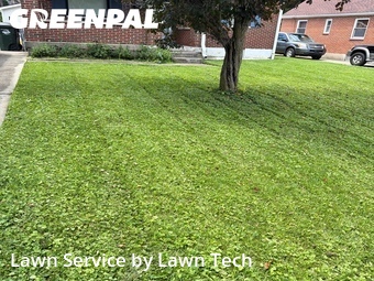 Grass Cutting nearby Dayton, OH, 