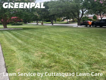 Lawn Mowing Service nearby Virginia Beach, VA, 