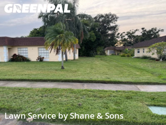 Grass Cut nearby Seminole, FL, 