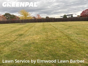 Lawn Maintenance nearby North Ridgeville, OH, 