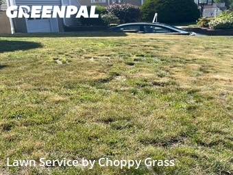 Lawn Care Service nearby Lodi, NJ, 