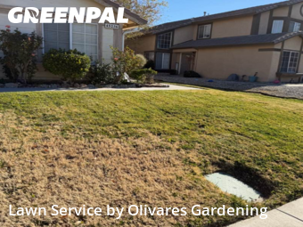 Landscaping In Lancaster,93535,Landscape Design by Olivares Gardening , work completed in Dec , 2025