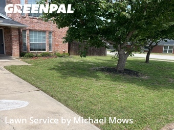 Lawn Cuttingin Keller,76248,Grass Cut by Michael Mows, work completed in Jun , 2026