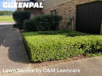 Lawn Cut nearby Tyler, TX, 