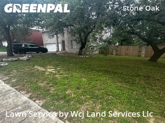 Lawn Cut nearby San Antonio, TX, 