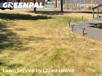 Lawn Management in Everett, 98203, Yard Mowing by Lopez Lawnz, work completed in Nov , 2025