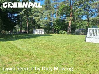 Yard Mowing nearby Albany, NY, 