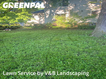 Yard Mowing nearby Des Plaines, IL, 