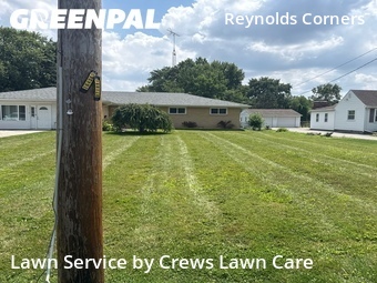 Grass Cut nearby Toledo, OH, 