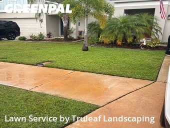 Grass Cut nearby Parrish, FL, 