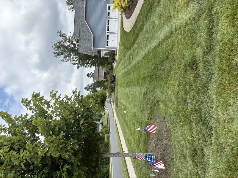 Work Image 4