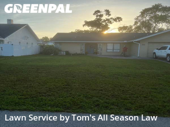 Lawn Cut nearby Spring Hill, FL, 