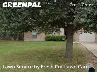 Lawn Cut nearby Cedar Park, TX, 