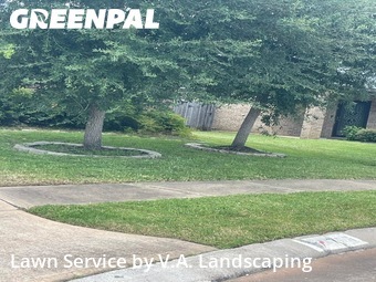 Lawn Care Servicein Rosenberg,77469,Grass Cut by V.A. Landscaping, work completed in Nov , 2025