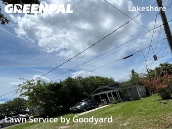 Grass Cut nearby Jacksonville, FL, 