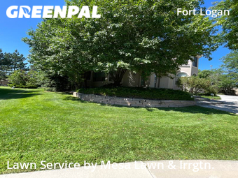 Lawn Cutting nearby Denver, CO, 