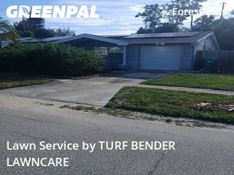 Yard Cutting nearby Holiday, FL, 