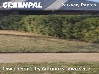 Lawn Maintenance nearby Plano, TX, 