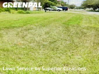 Lawn Maintenance nearby Spring Hill, FL, 