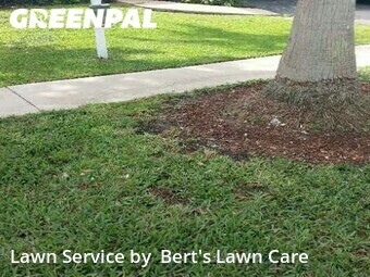 Lawn Cut nearby Pembroke Pines, FL, 