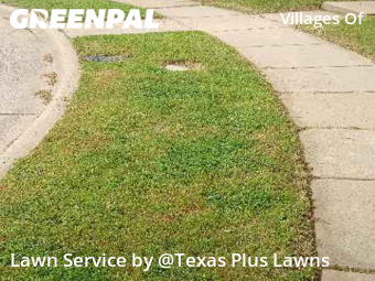 Lawn Care Service nearby Plano, TX, 