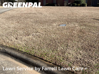 Lawn Care Service nearby Atlanta, GA, 