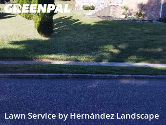 Lawn Care nearby Springfield Township, PA, 