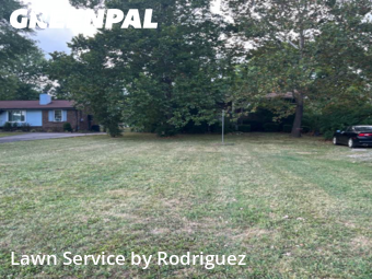 Yard Cutting nearby Hendersonville, TN, 